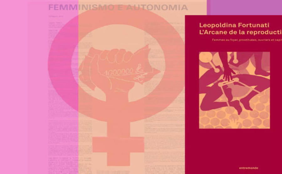 Leopoldina Fortunati : L'Arcane de la reproduction : femmes au foyer, prostituées, ouvriers et capital